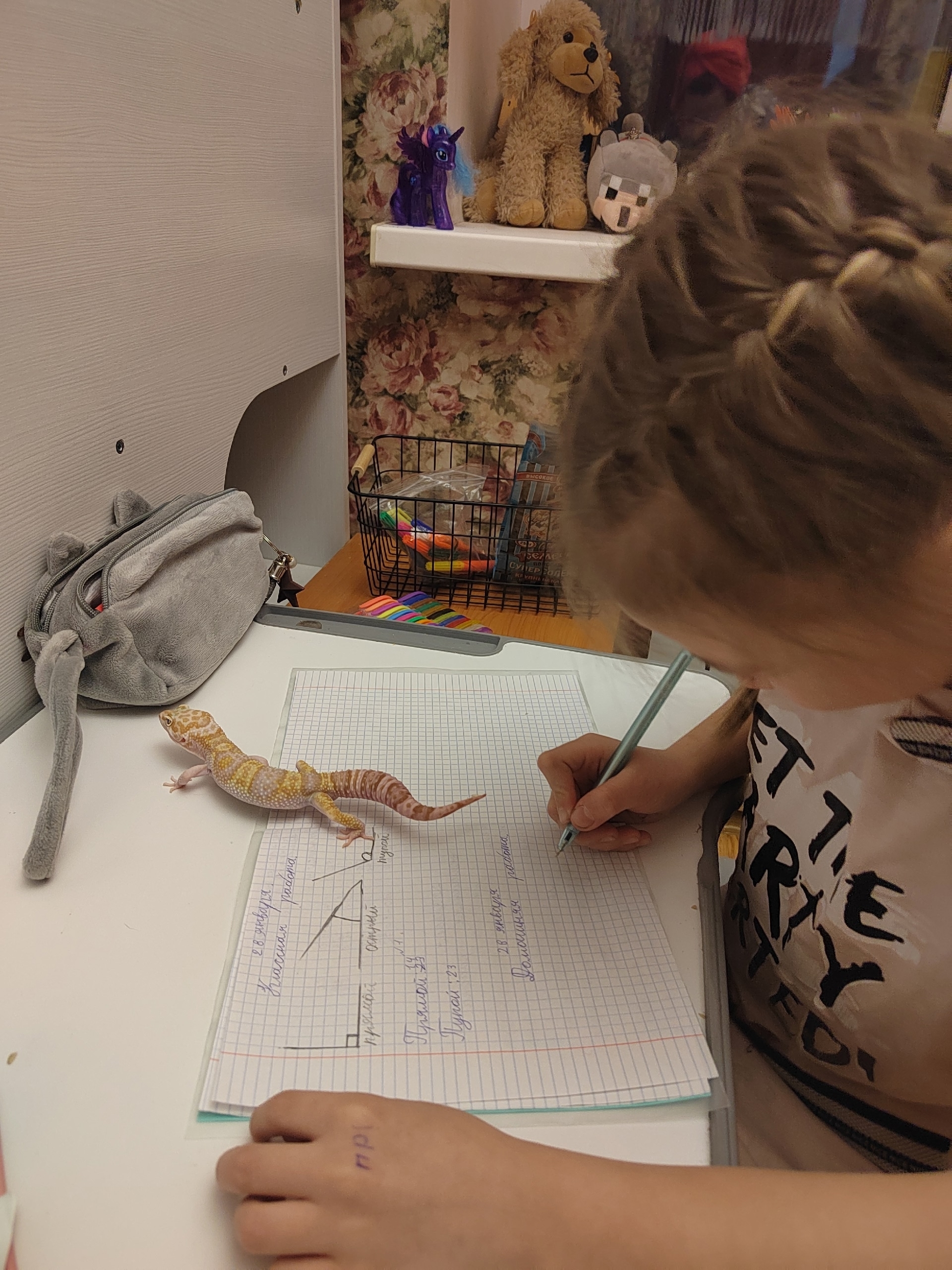 Фотоконкурс  «Мой пушистый помощник» в разгаре