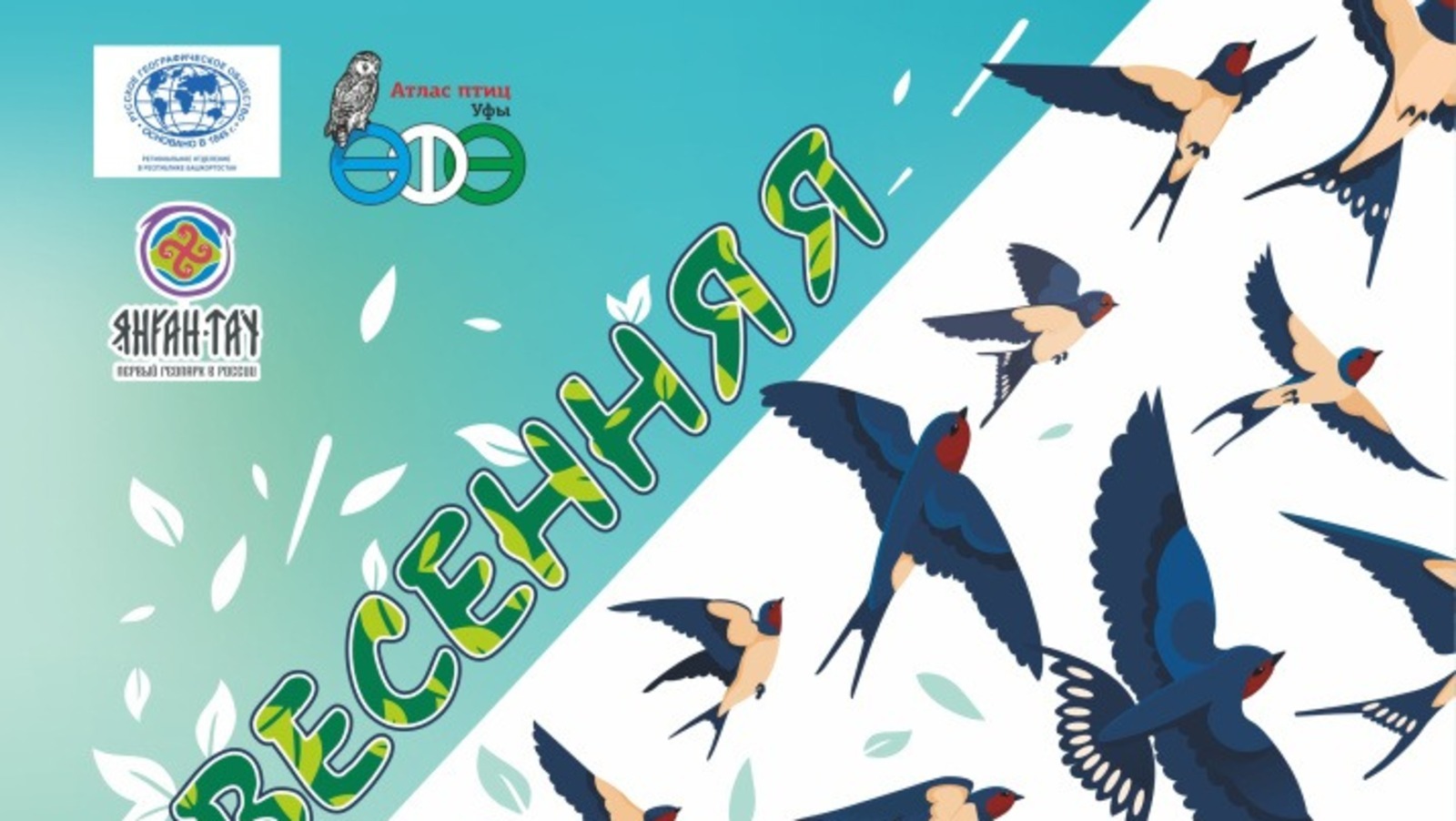 В Башкирии стартовала весенняя перекличка перелётных птиц