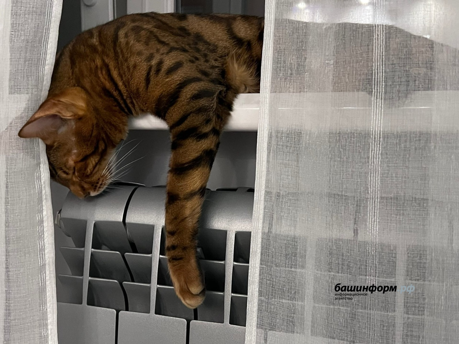 Отопительный сезон стартует в Уфе 25 сентября