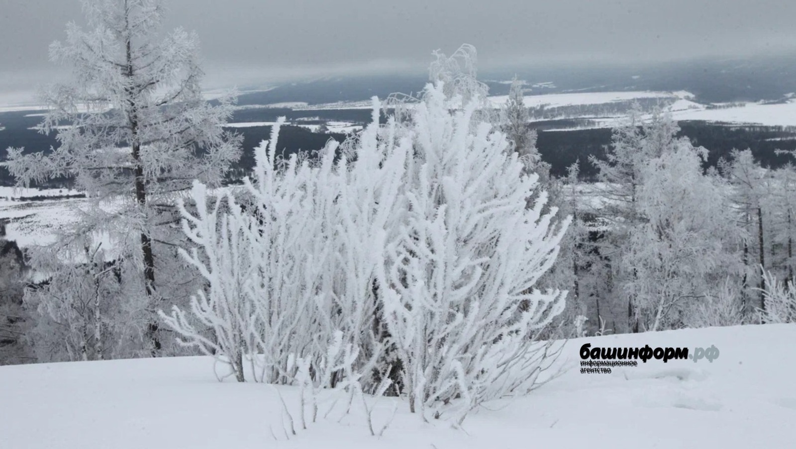 В Башкирии в начале февраля сохранится умеренно прохладная погода