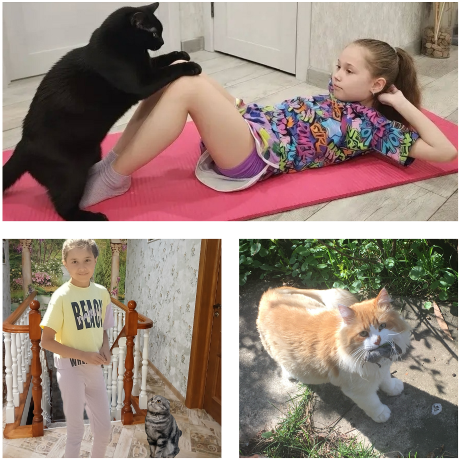 «Уфимские нивы» подвели итоги фотоконкурса «Мой пушистый помощник»