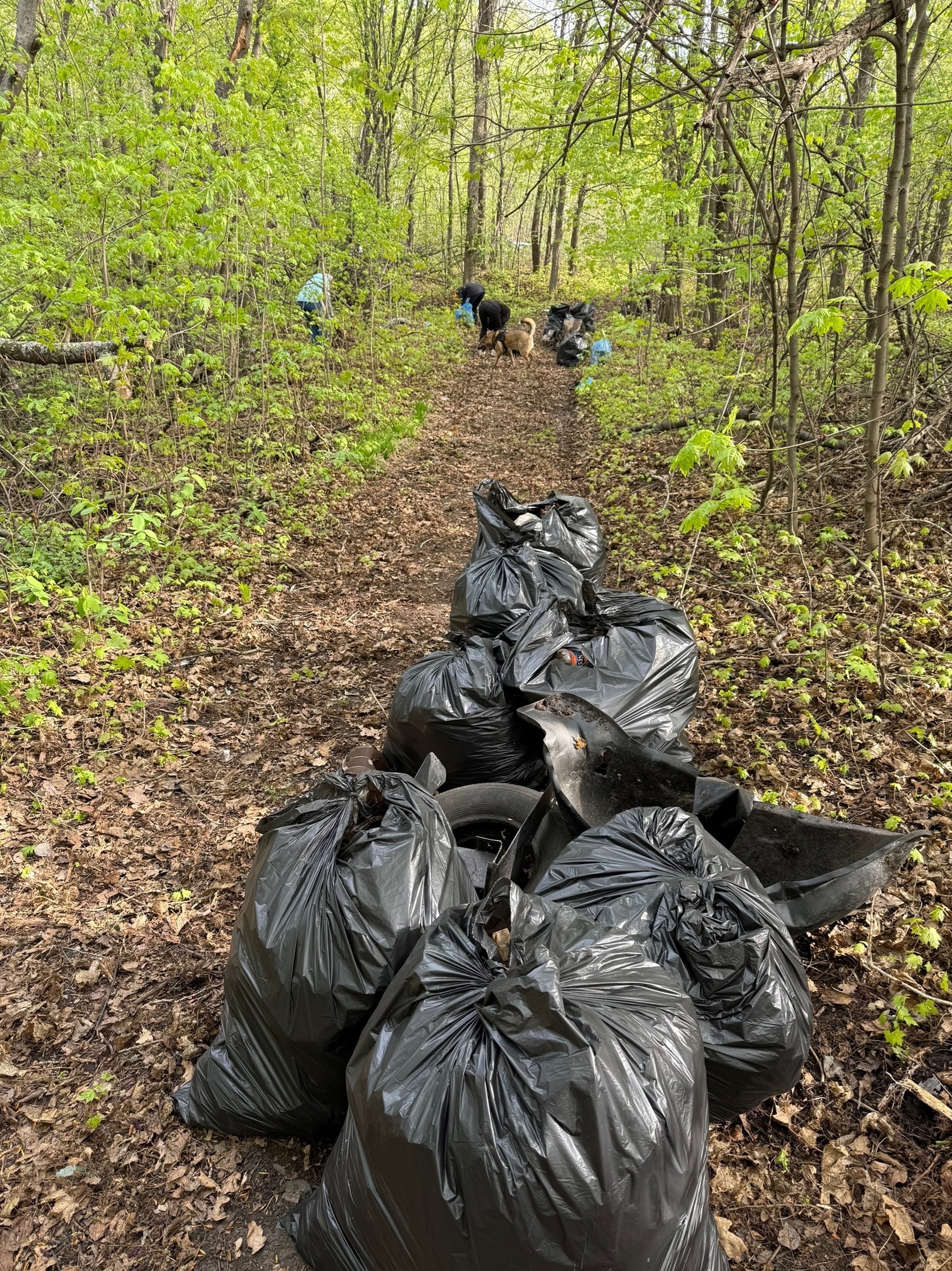 Жители Уфимского района создали экологический проект «Тропа здоровья»