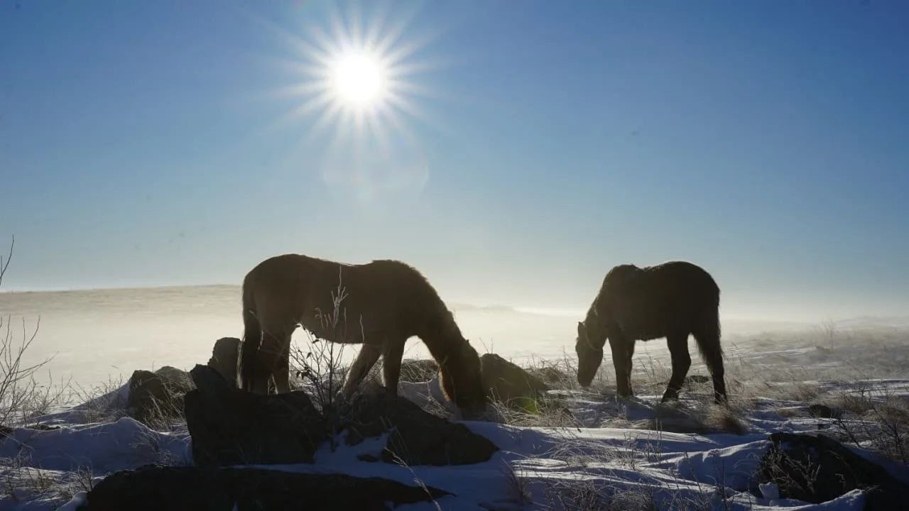 Радий Хабиров опубликовал в своих соцсетях необычные фото