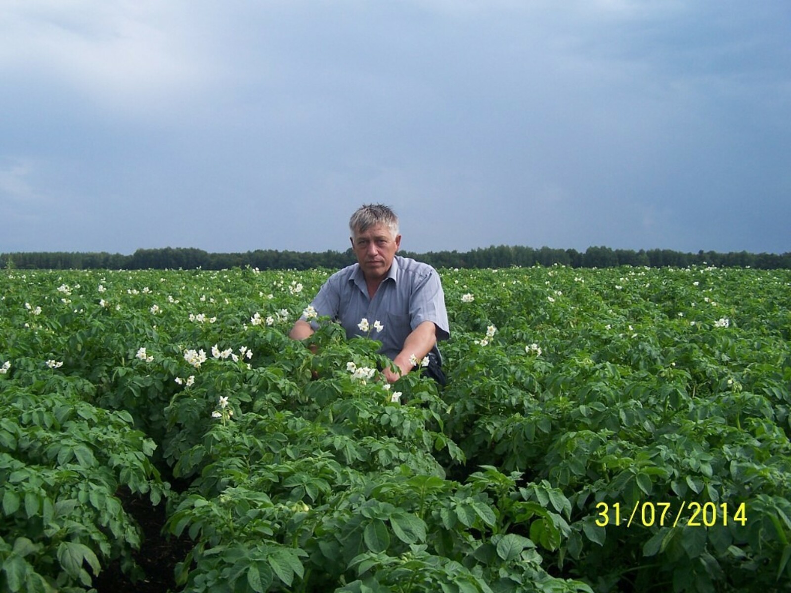 Фаиз Габбасов: агроном своей судьбы