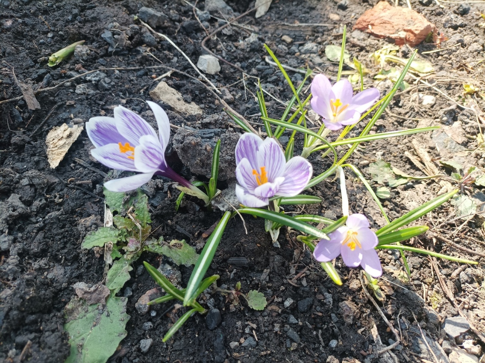 В Башкирии ожидаются дожди, грозы и порывистый ветер
