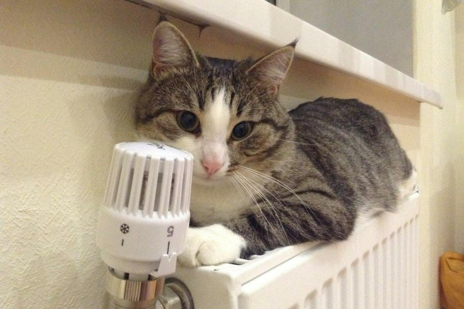 В Башкирии отопительный сезон стартует еще в двух муниципалитетах