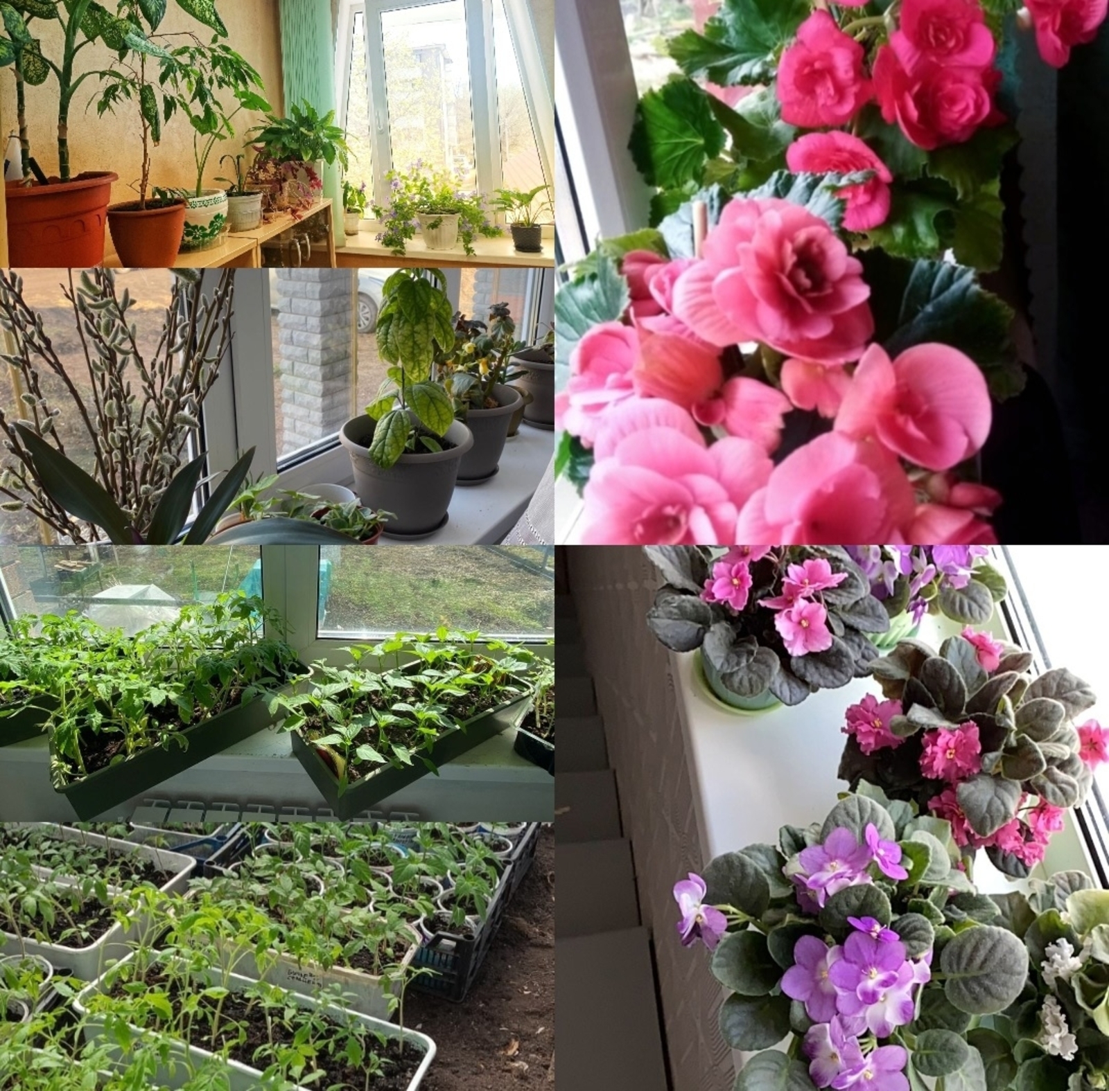 Редакция «Уфимских нив» объявляет фотоконкурс «Битва подоконников»