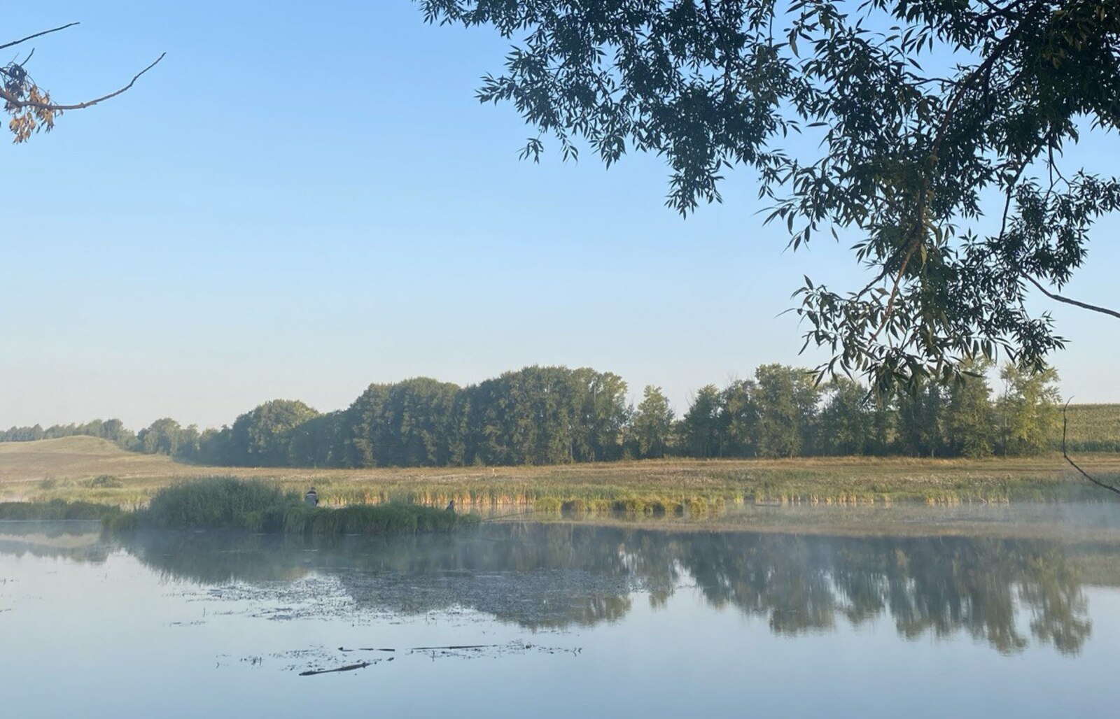 Охрана природы Башкирии перейдет под надзор ФСО