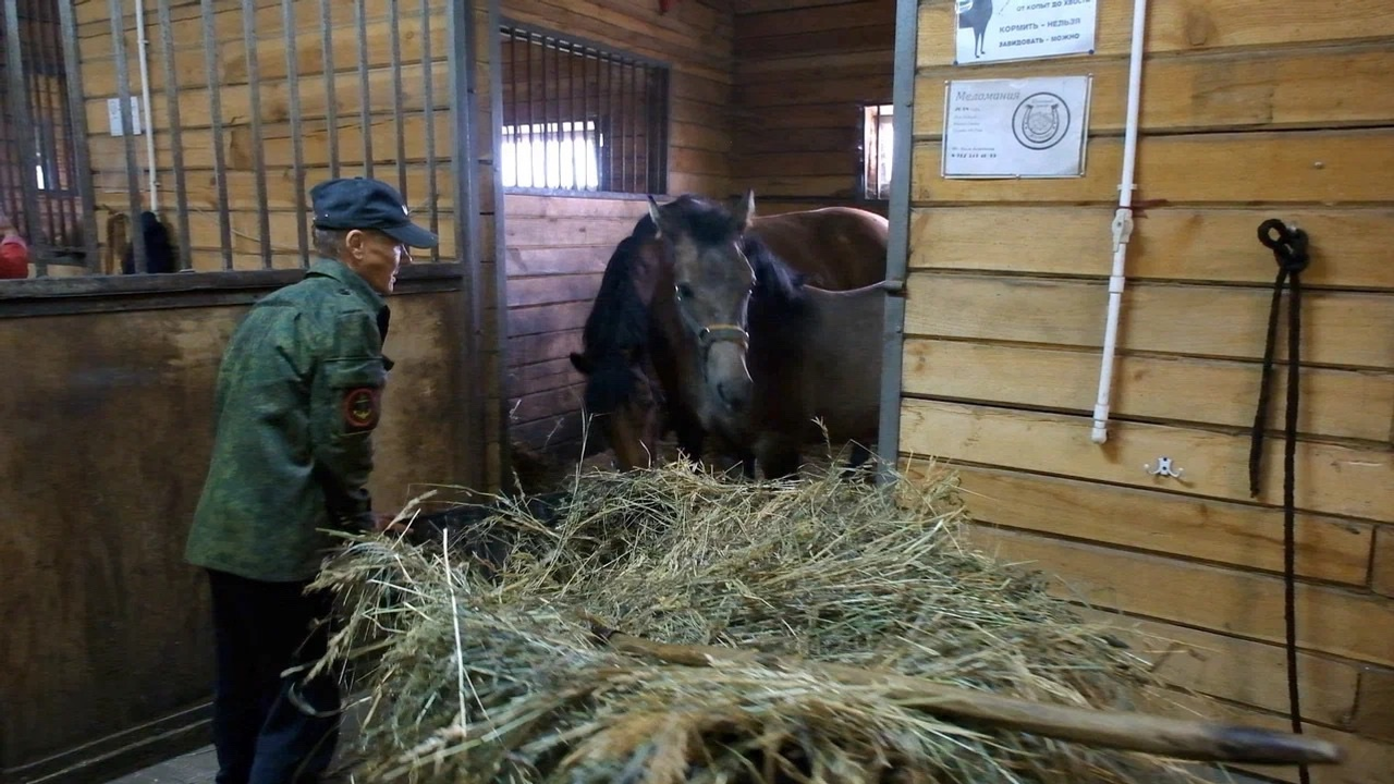 Башкортостан – лидер по производству кумыса в России