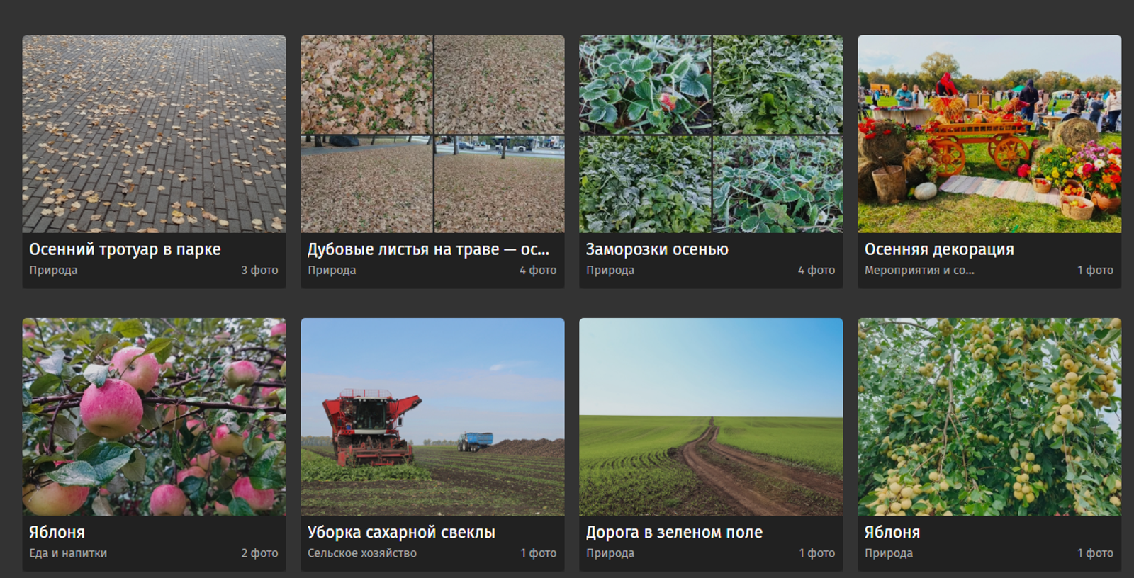 В Башкирии для средств массовой информации создан фотобанк