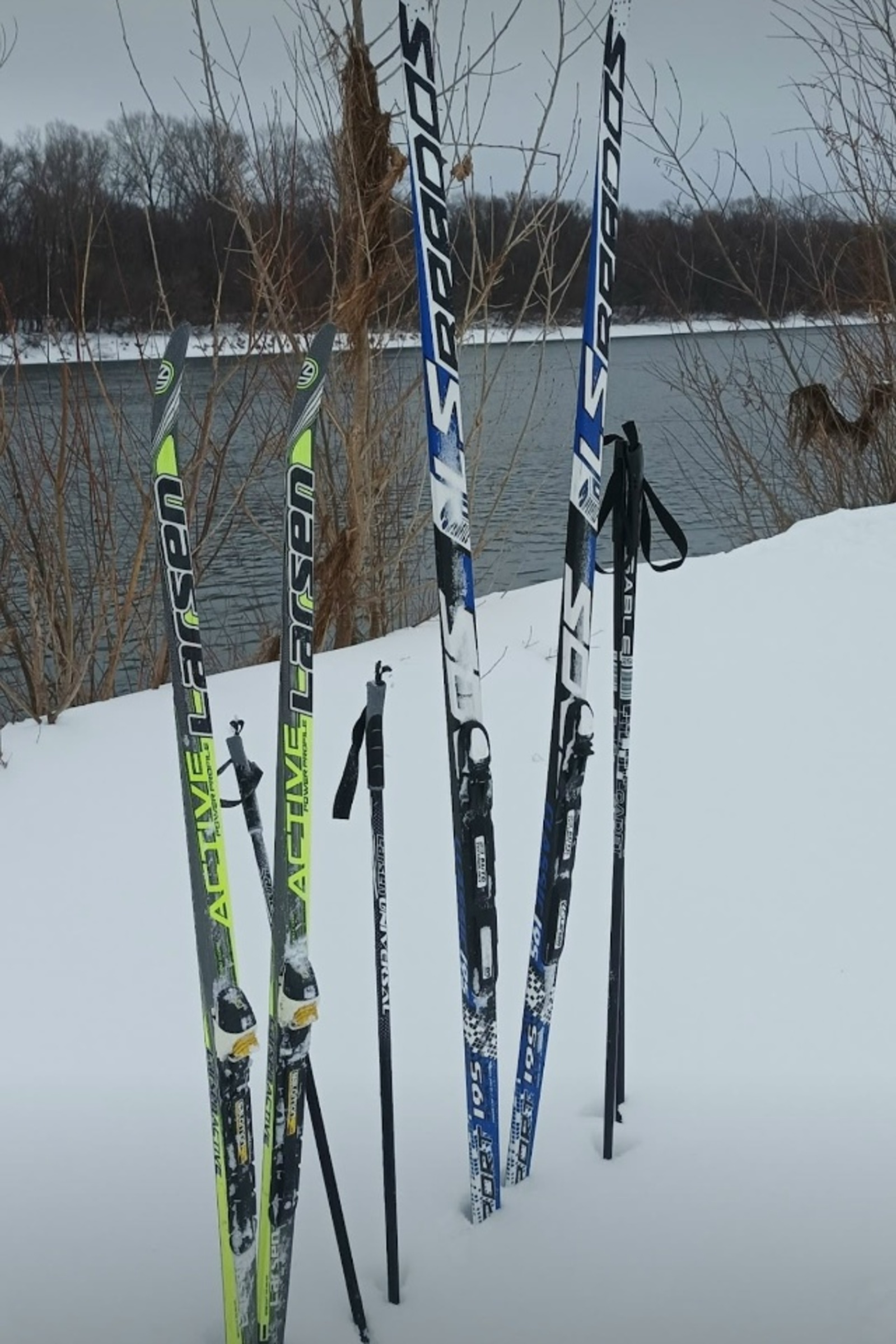 Уфимский иммунолог рассказала о простых способах укрепления иммунитета