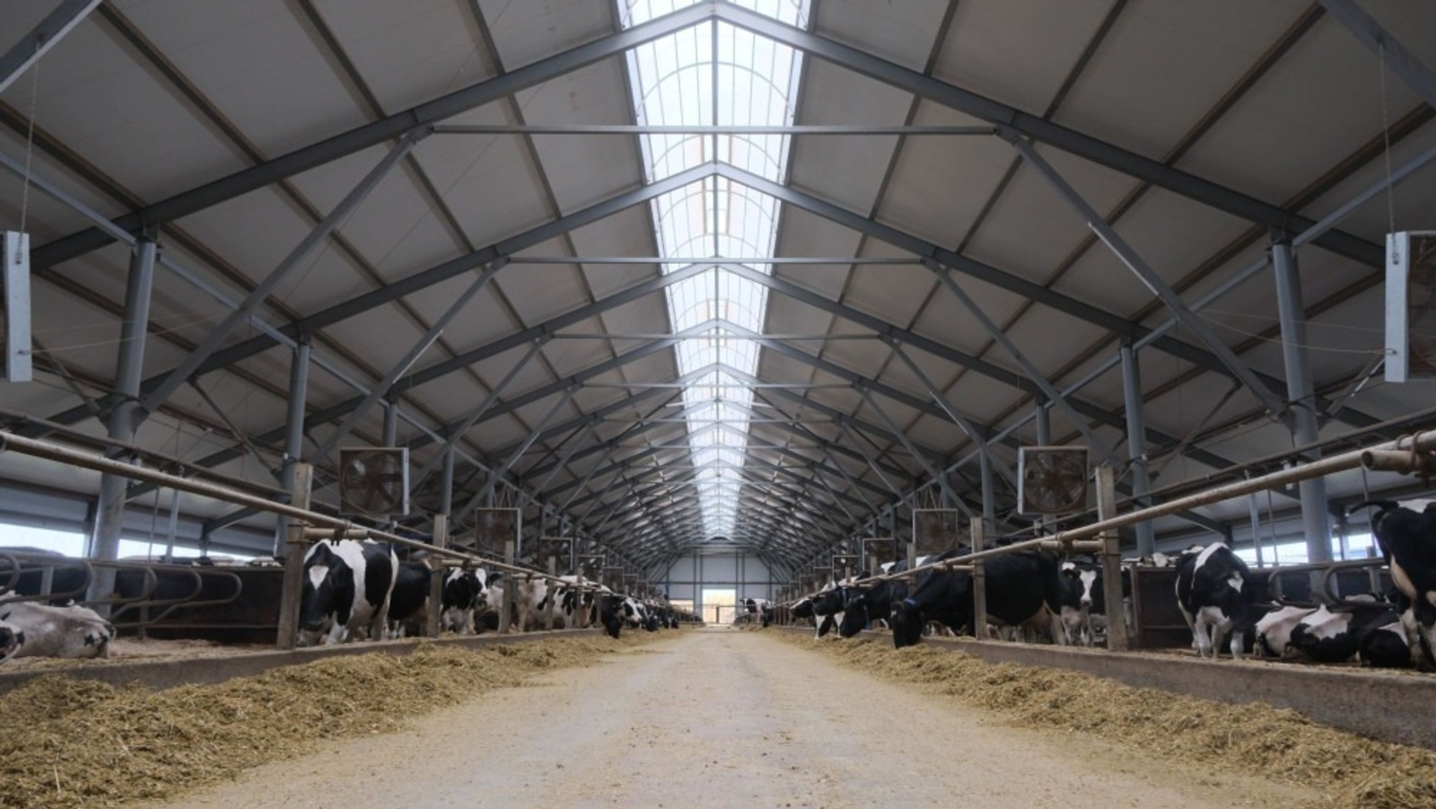 В Башкирии откроются пять новых молочных ферм