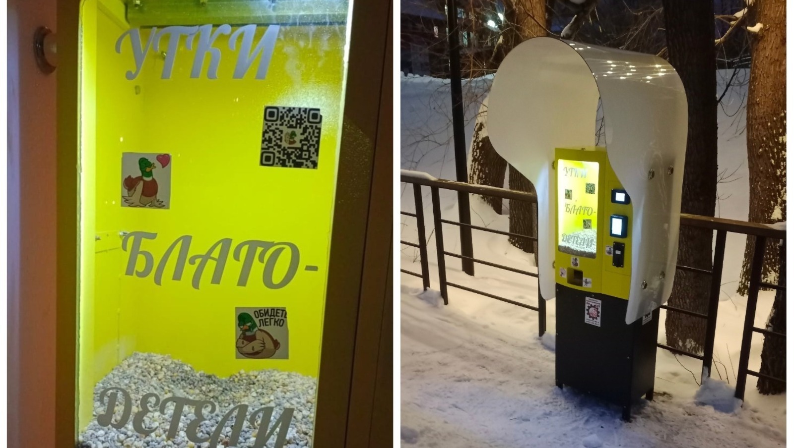 В городах Башкирии устанавливают автоматы с кормом для уток