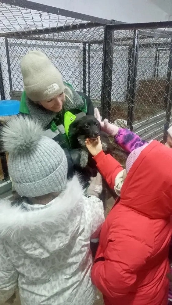 Школьники Таптыково посетили приют для животных