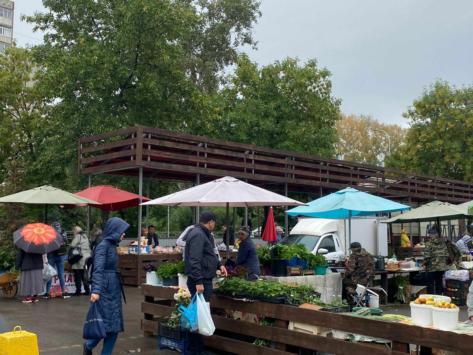 Сельскохозяйственные ярмарки развернутся в Уфе в начале августа