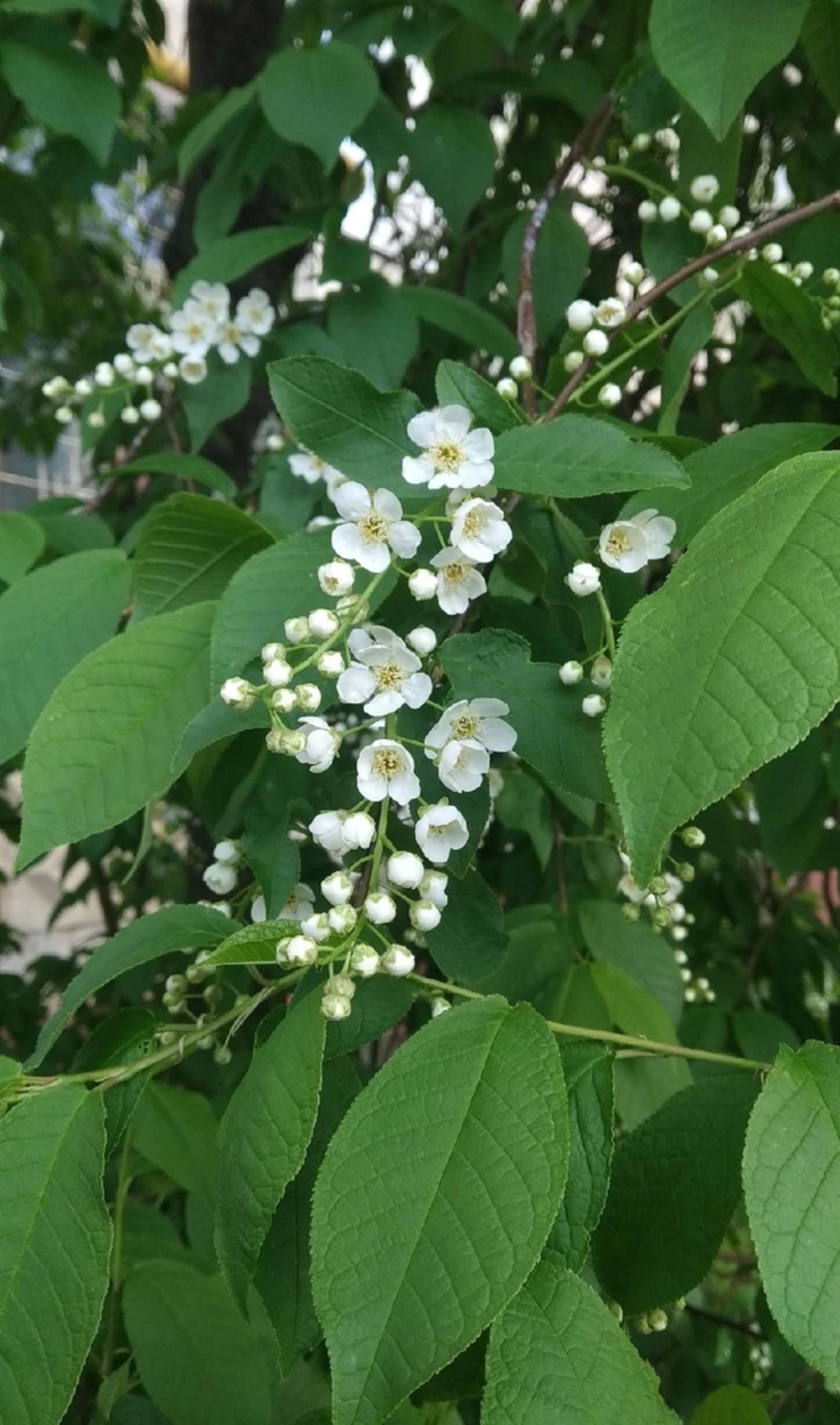 На этой неделе в Башкирии ожидается до +26 градусов