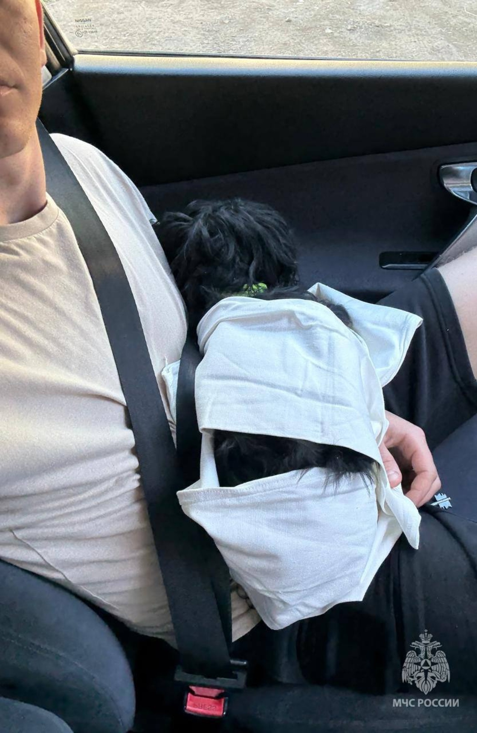 В Башкирии пожарные спасли жизнь собаке, раненой в ДТП