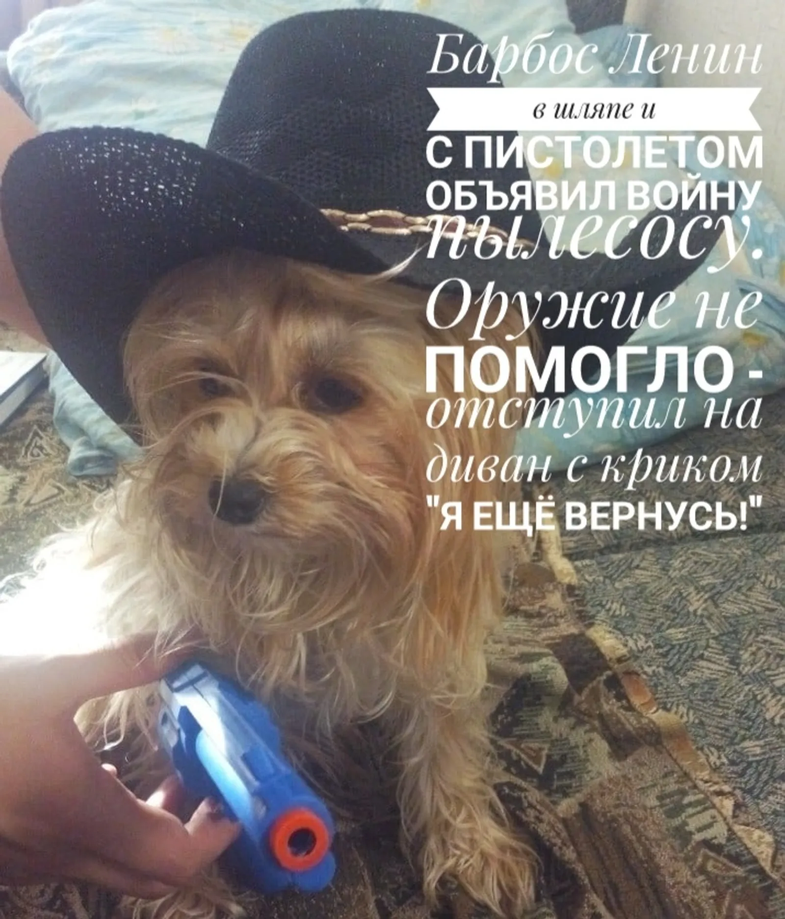 Как фамилия твоего питомца? Редакция «Уфимских нив» запускает новый фотоконкурс