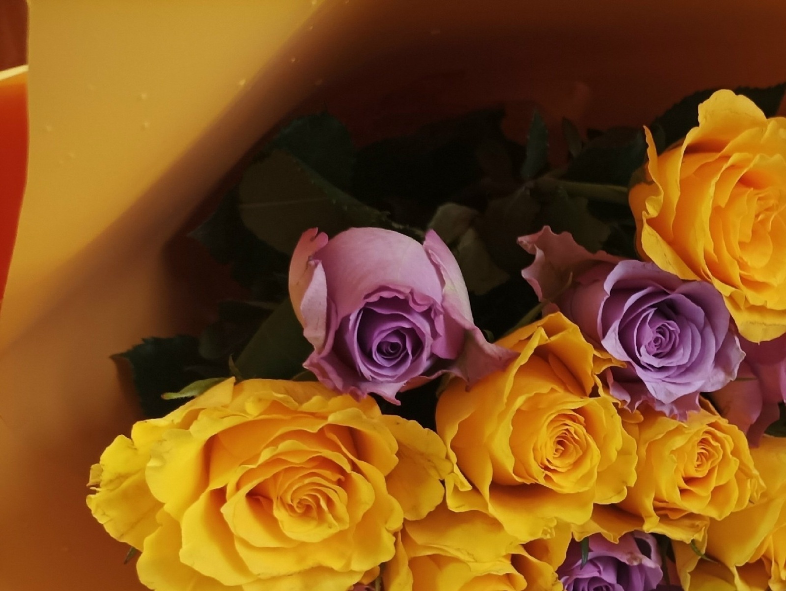 В Башкирии вводятся дополнительные выходные для родителей