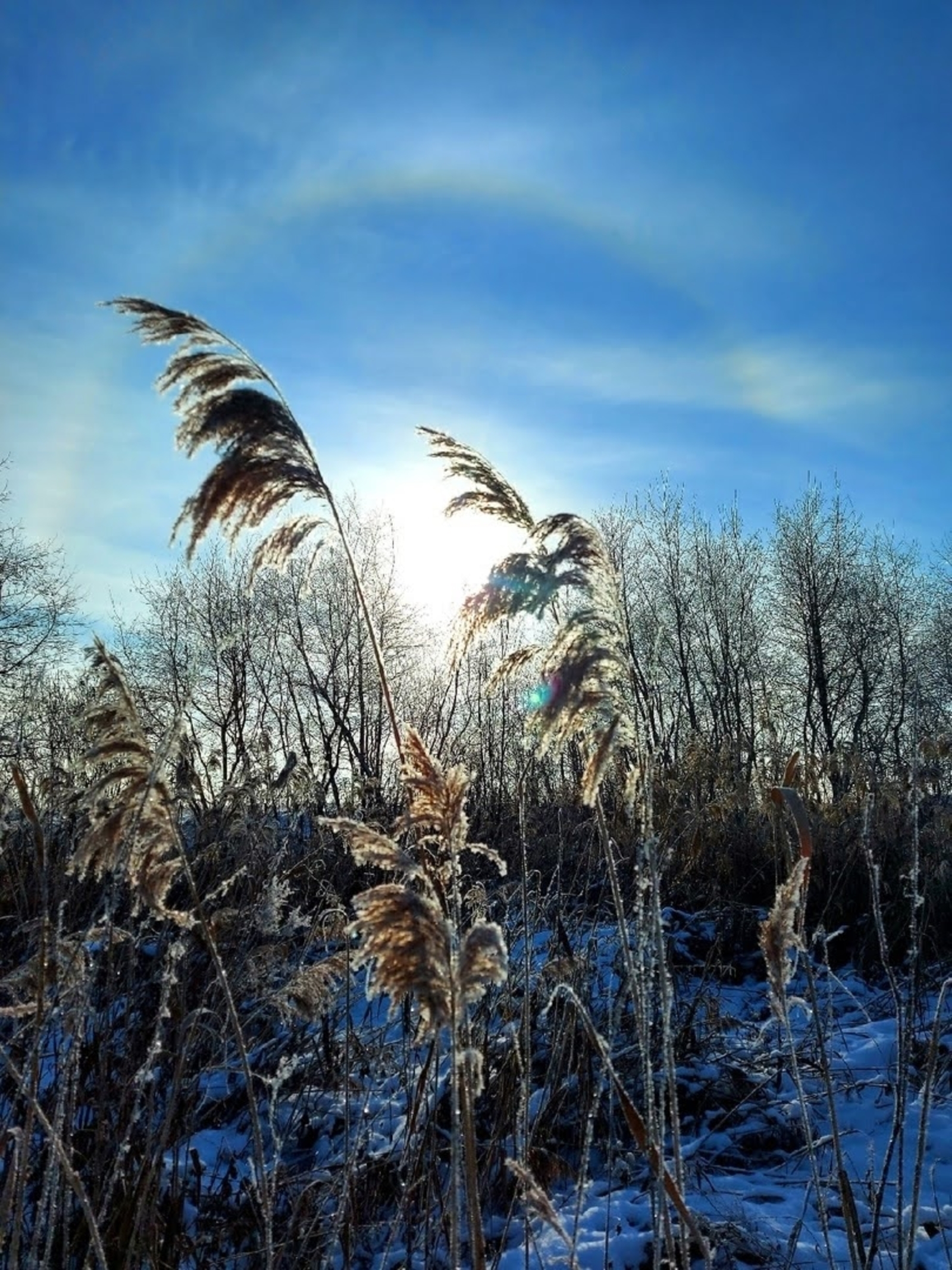 Башкирию в ближайшие дни ожидают резкие перепады температуры и осадки