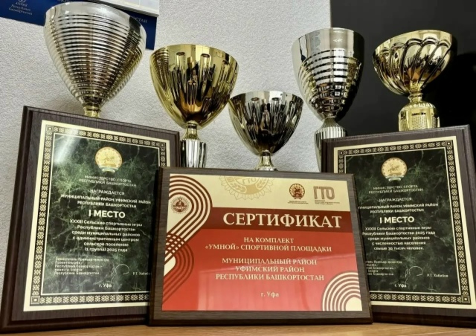 Уфимский район признан лучшим на Сельских спортивных играх