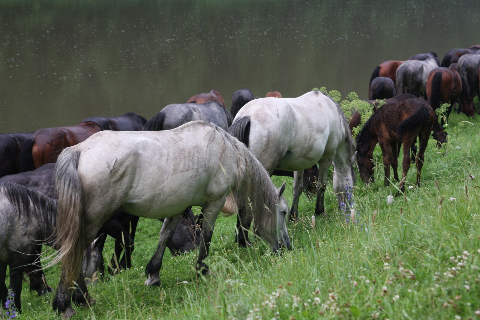 В ближайшие дни в Башкирии сохранится неустойчивая погода