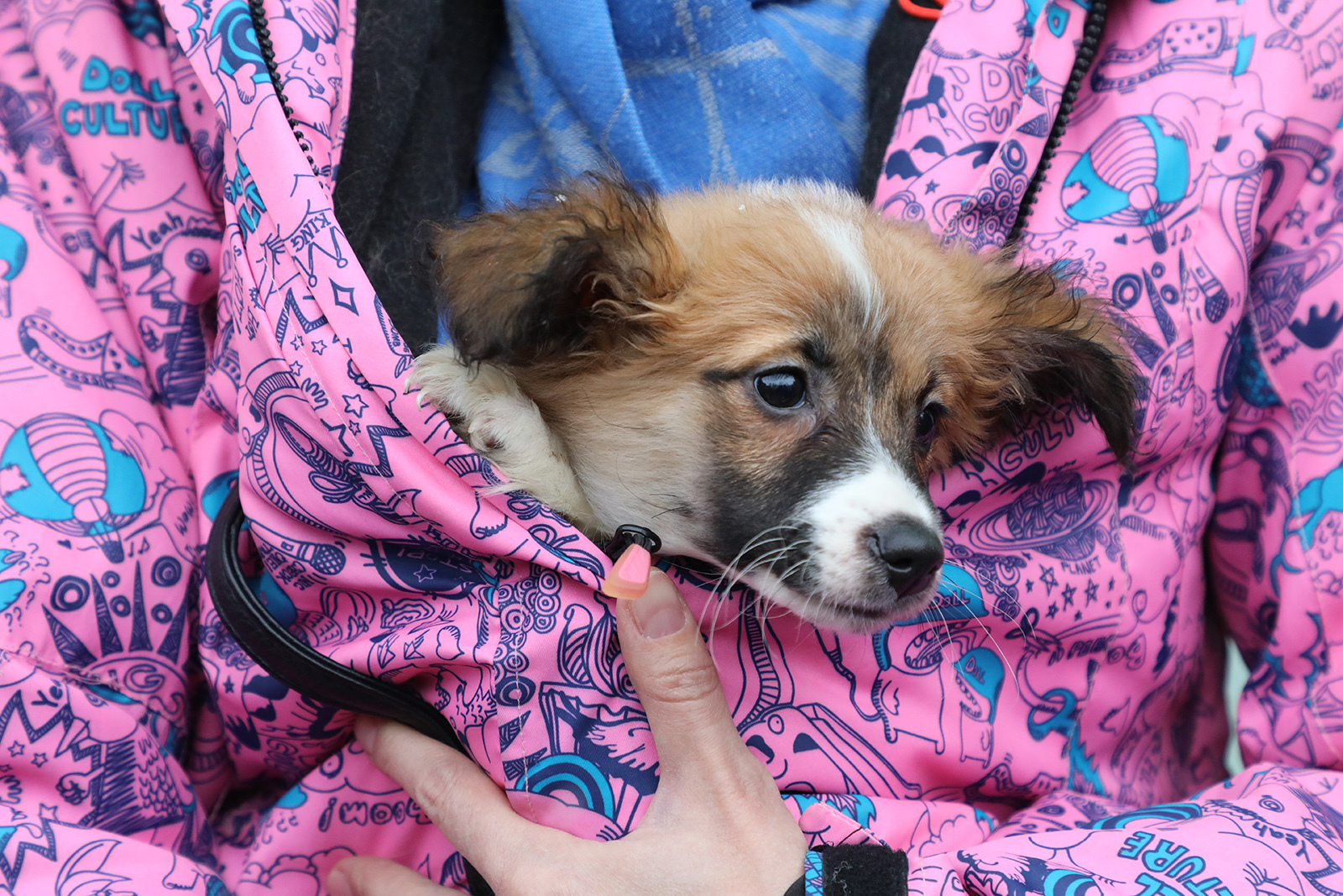 В Уфе состоится этап благотворительной акции «Ищу человека»