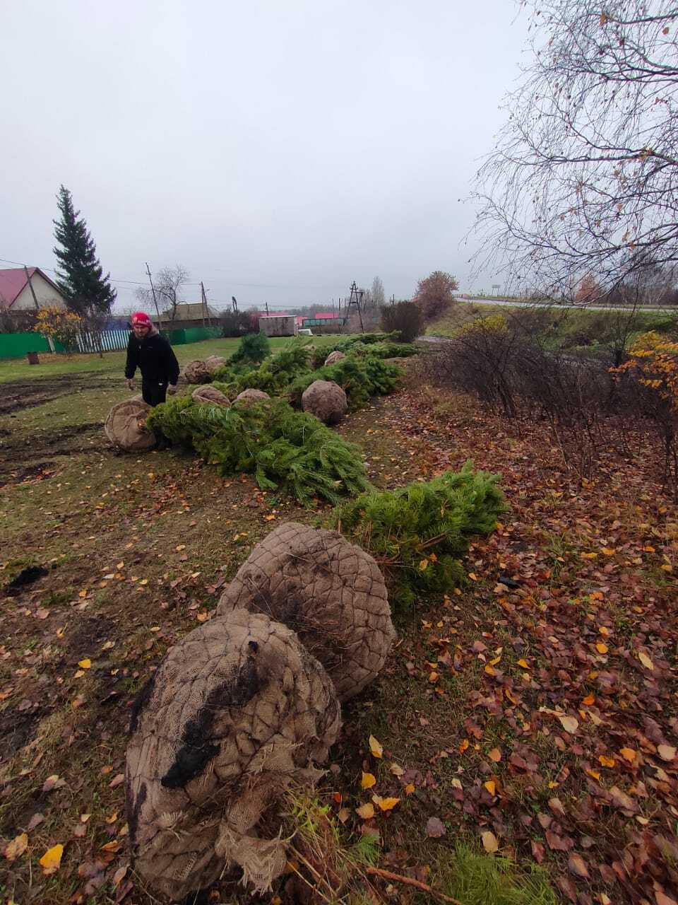 Жители Уфимского района приняли участие в экологической акции «Зелёная Башкирия»
