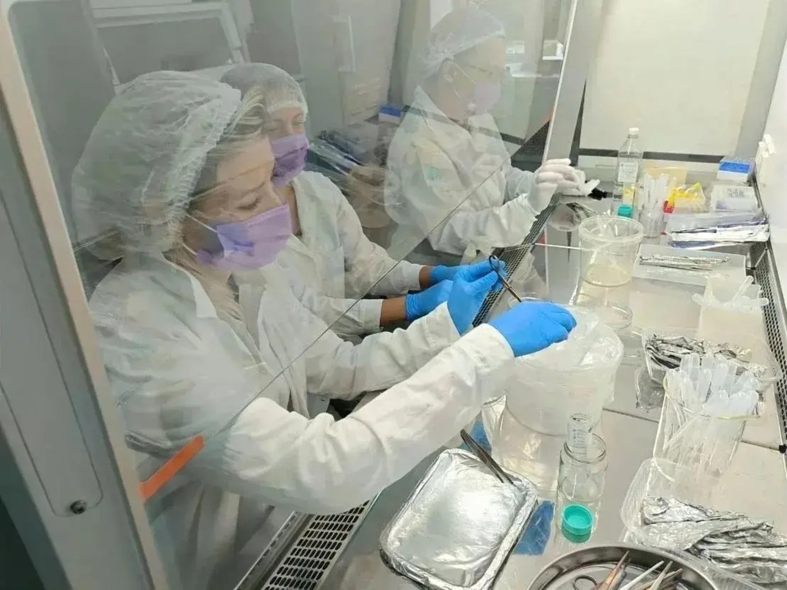 Радий Хабиров рассказал о значимых научных достижениях ученых из Башкирии