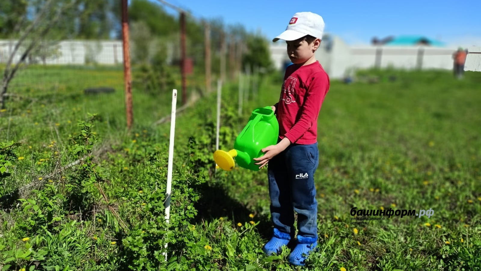 В Башкирии впервые празднуют День садовода