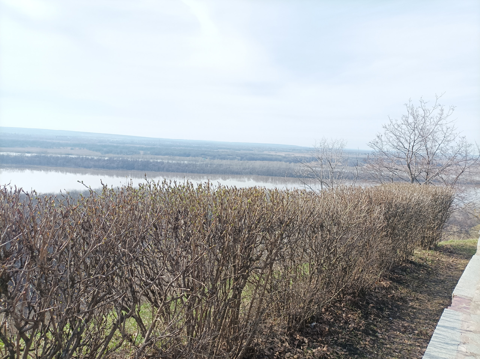 В Башкирии ожидается дождливая и прохладная неделя