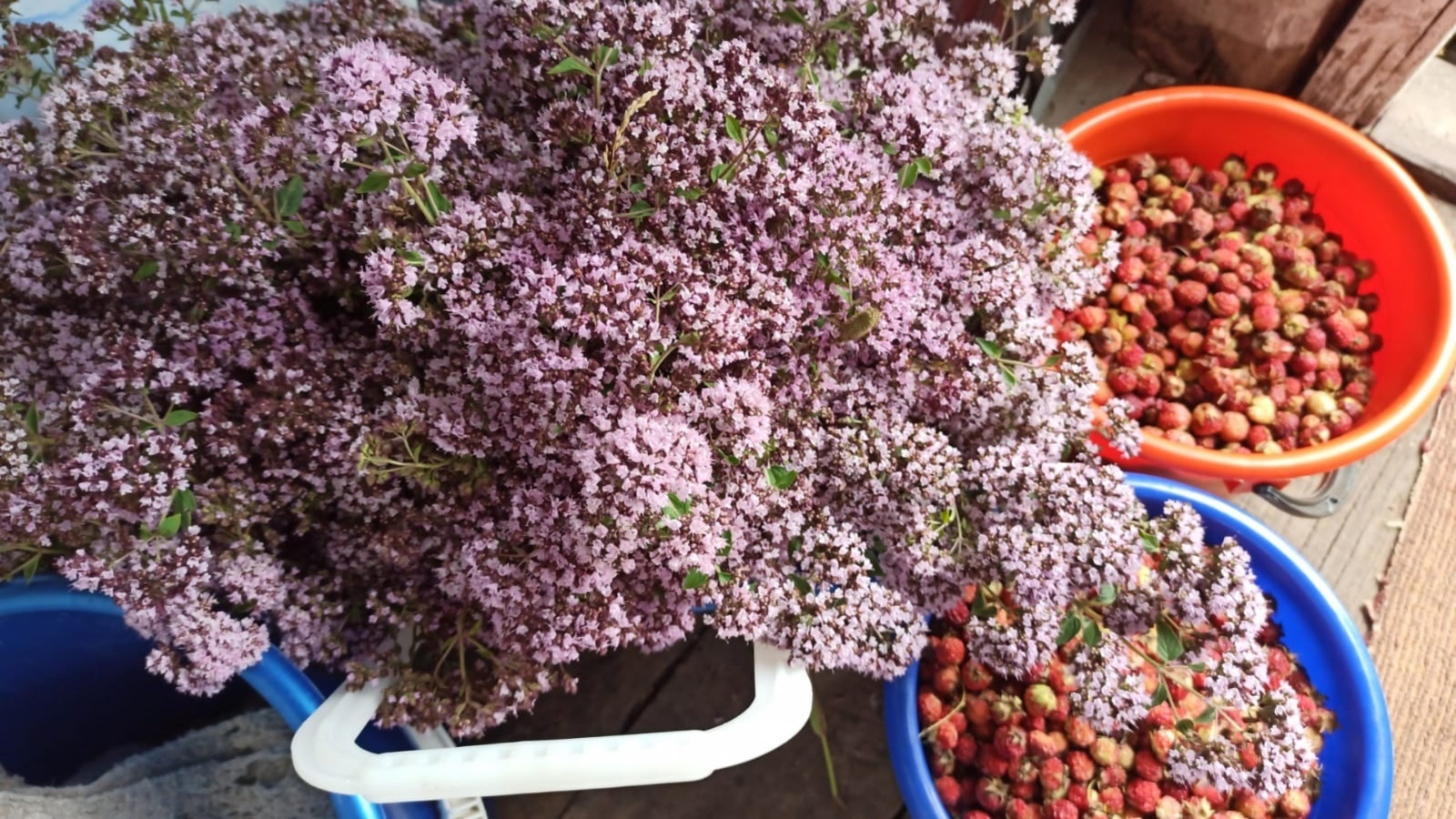 В Башкирии ожидается похолодание в выходные дни