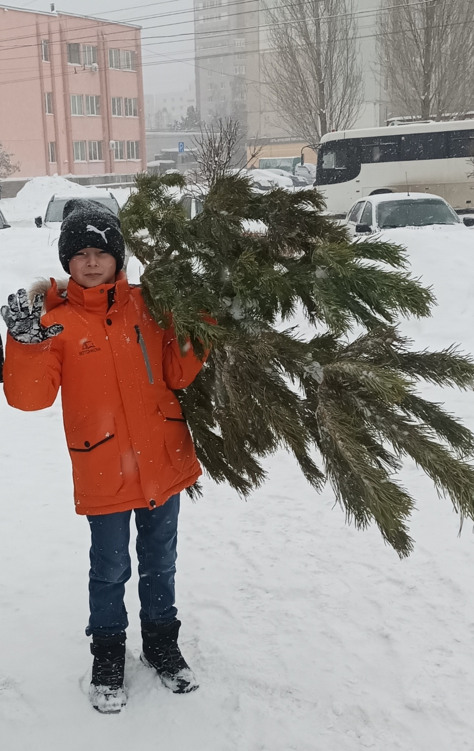 Когда за елкой? В Уфе назвали дату старта елочных базаров