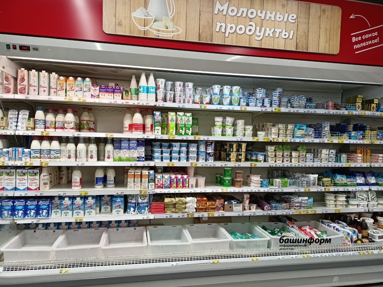 В Башкирии отмечены колебания цен на продукты и бензин