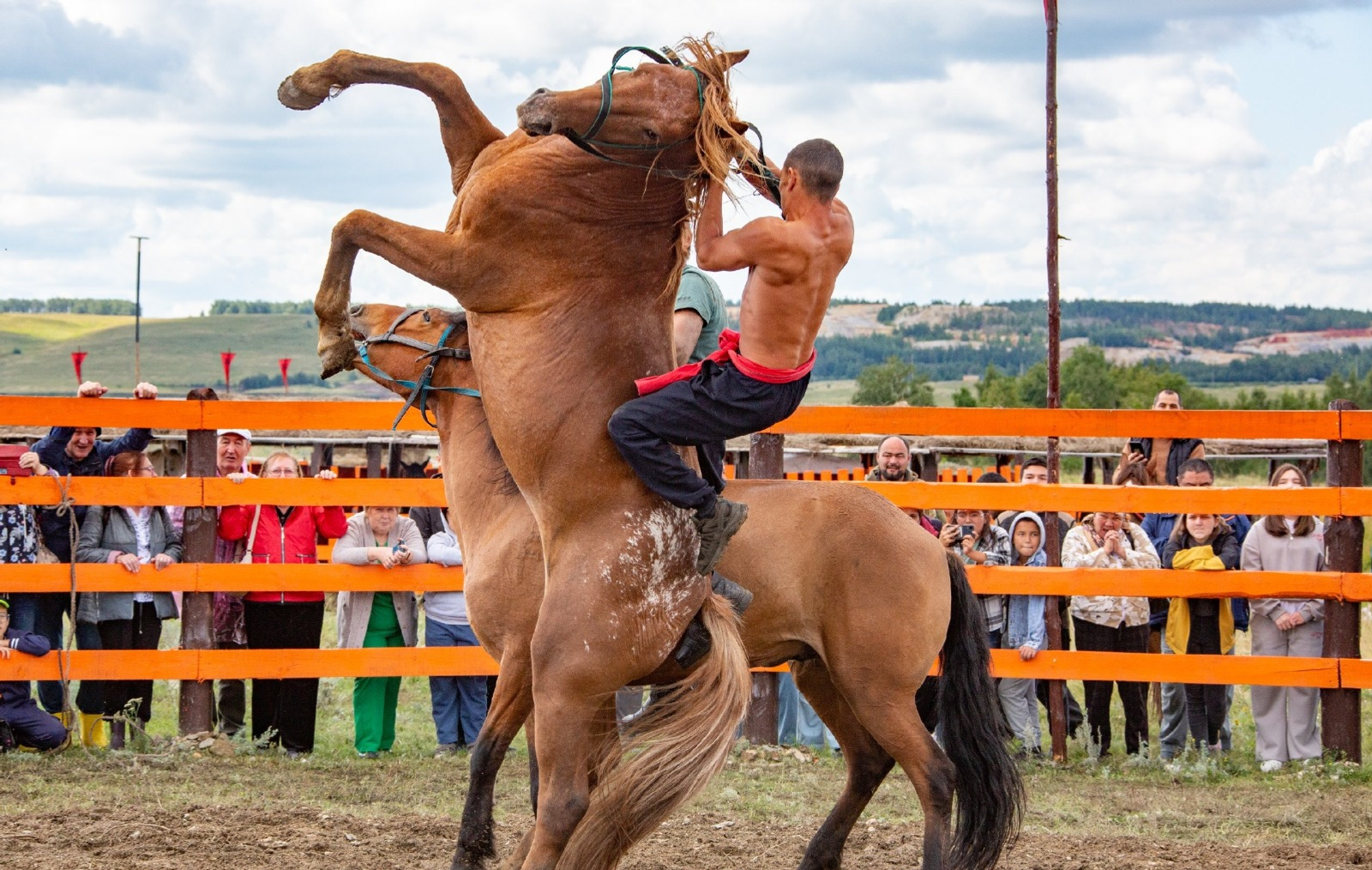 Фильм о башкирской лошади будет представлен на фестивале «Башҡорт аты»
