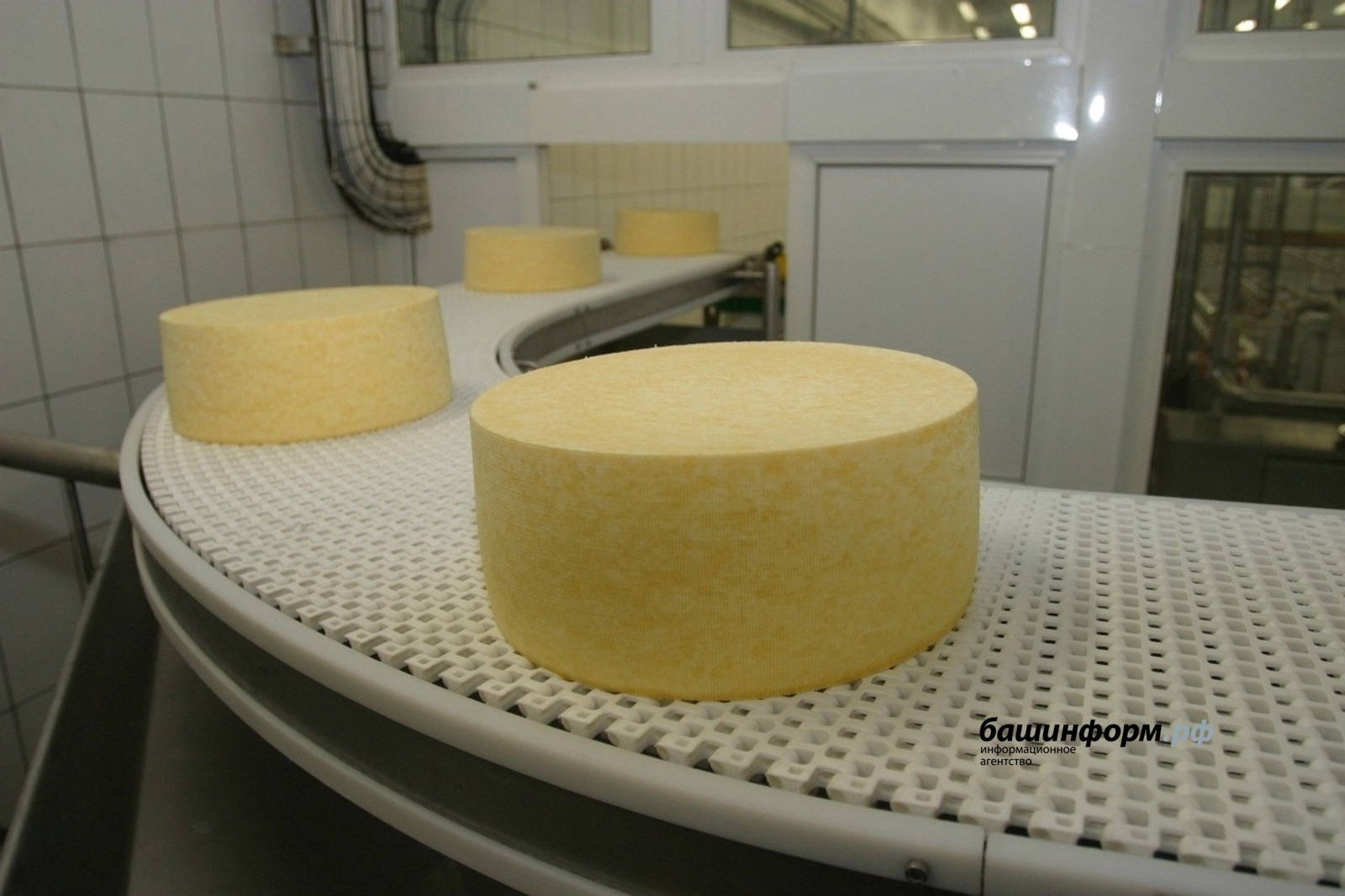 В Башкирии открыт цех по производству мягких сыров