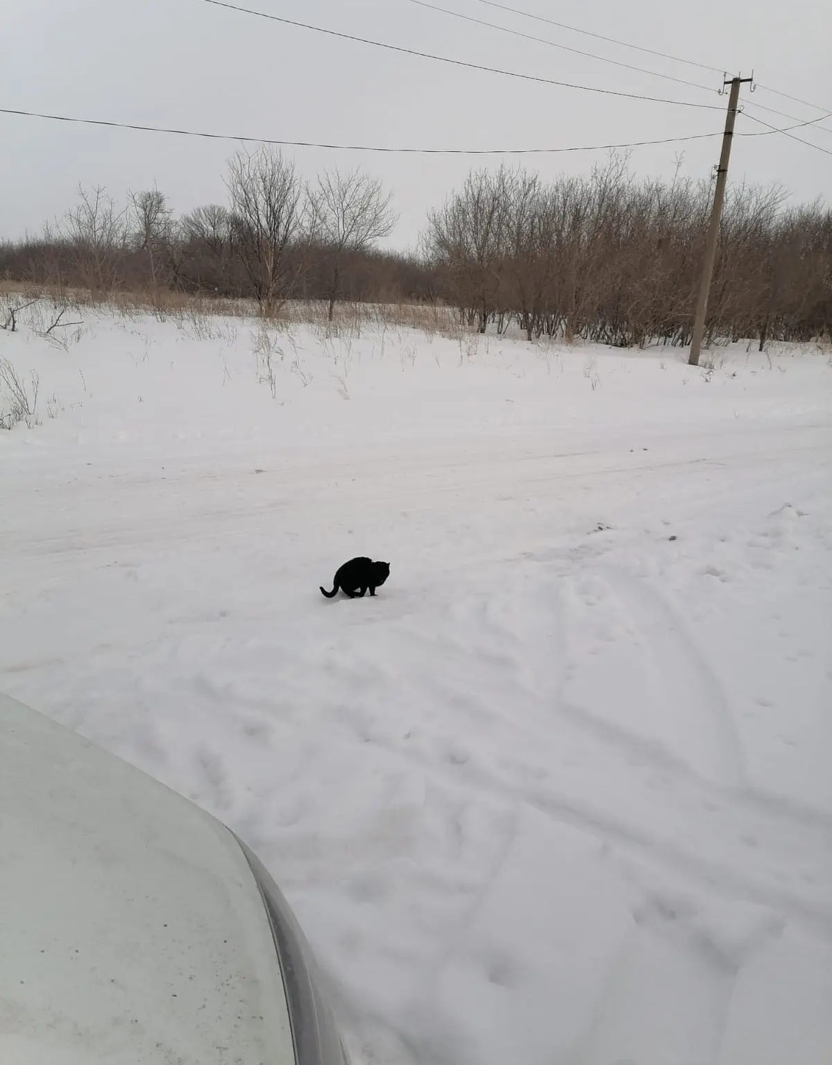 ГАИ Башкирии предупреждает о неблагоприятных погодных условиях на дороге