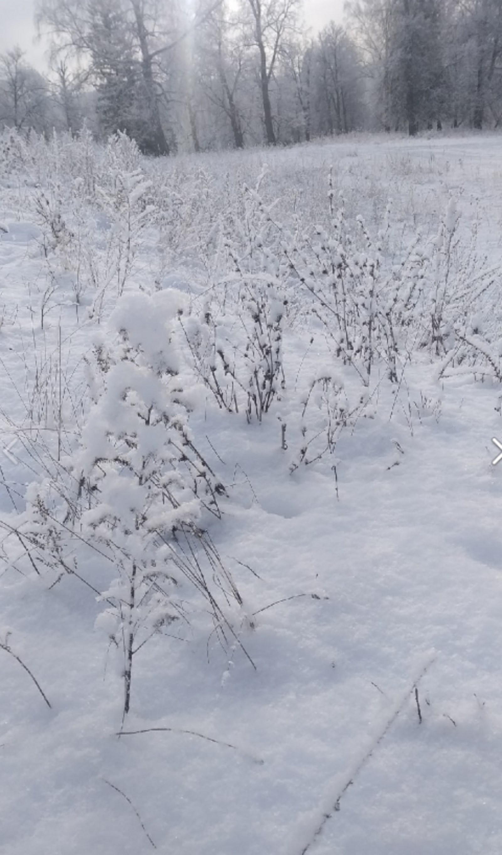 В Башкирию придут морозы до -36 градусов