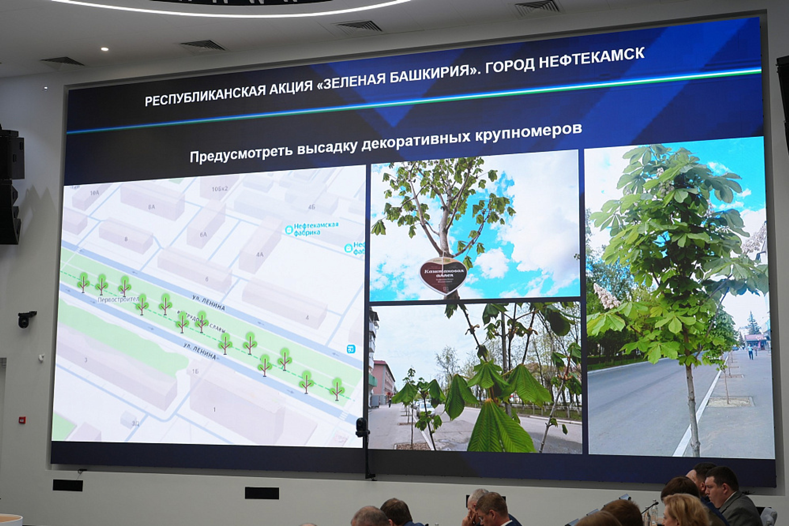 В Башкирии высадят десятки тысяч деревьев в рамках акции