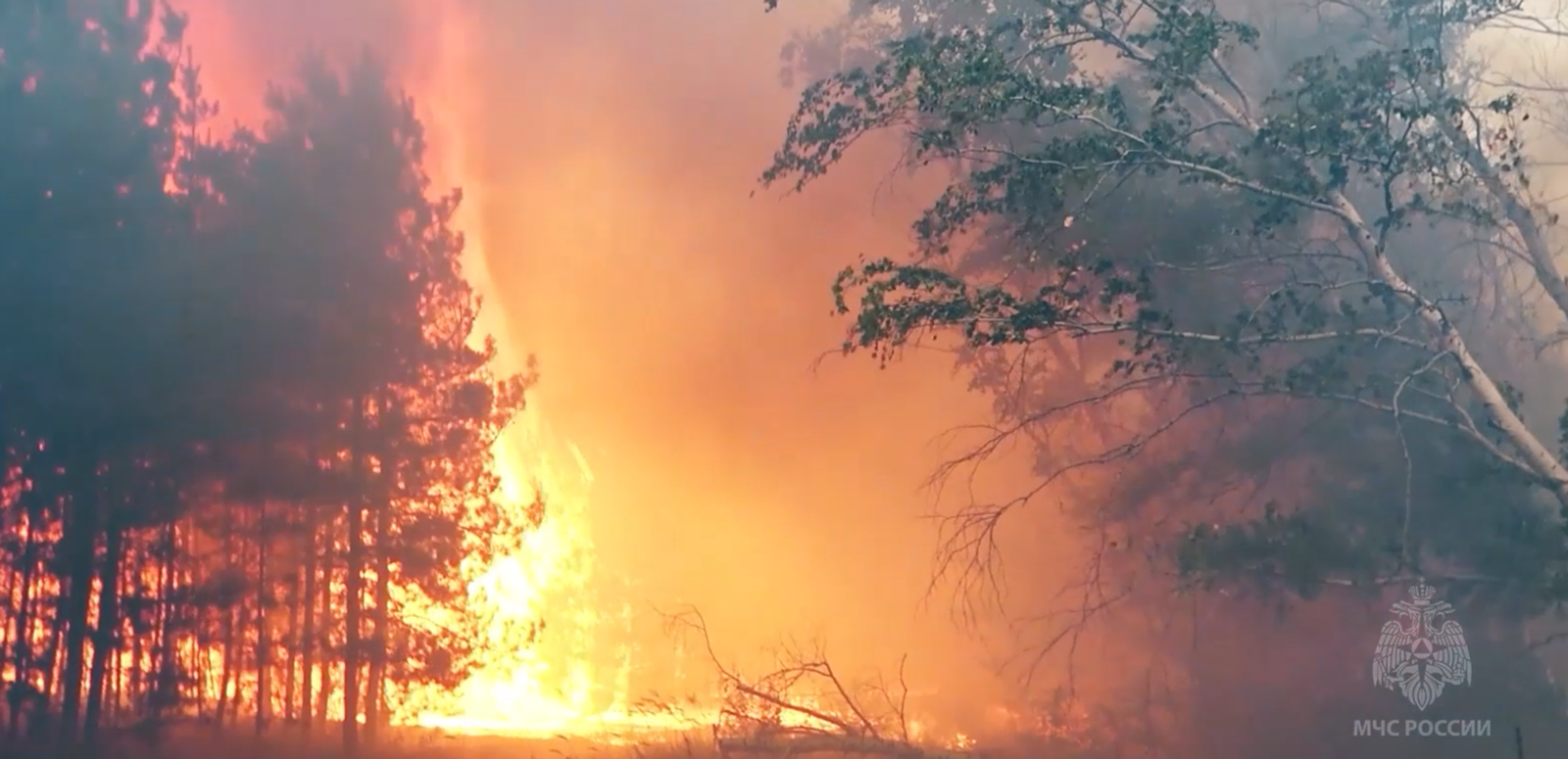Жителя Башкирии напомнили об особом противопожарном режиме