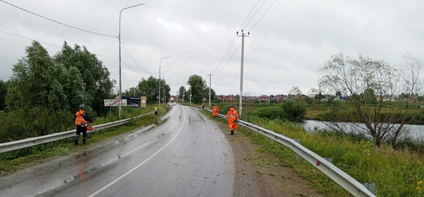 В Уфимском районе кронируют деревья для безопасности вдоль дорог