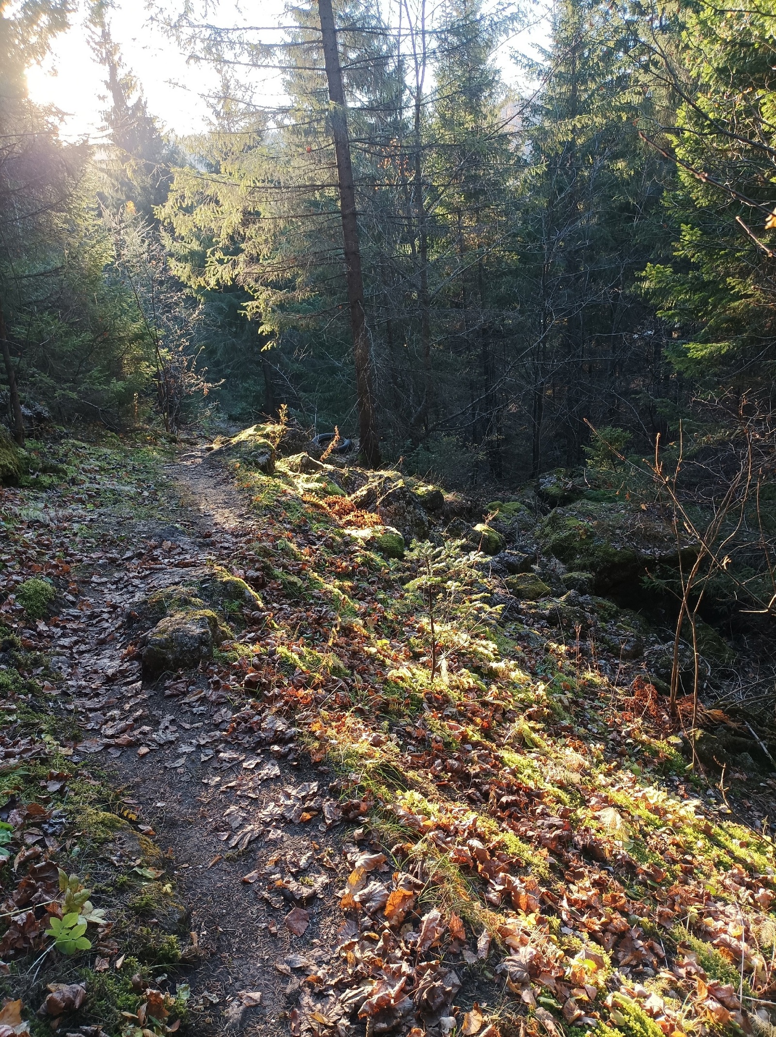 В Башкирии ожидаются жаркие выходные