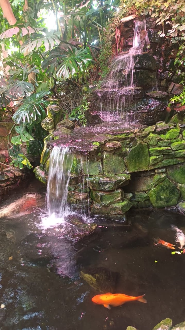 Жители Уфимского района посетили ботанический сад Уфы