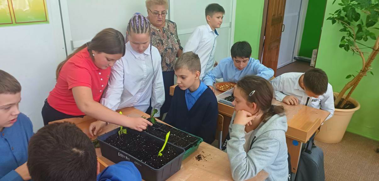 В школе имени С.С. Ильина села Жуково работает агрокласс
