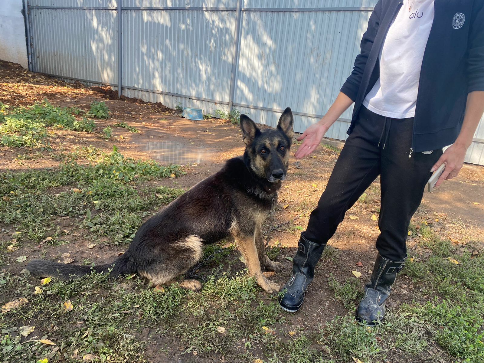 Редакция газеты «Уфимские нивы» запускает акцию «Дом для Берты»