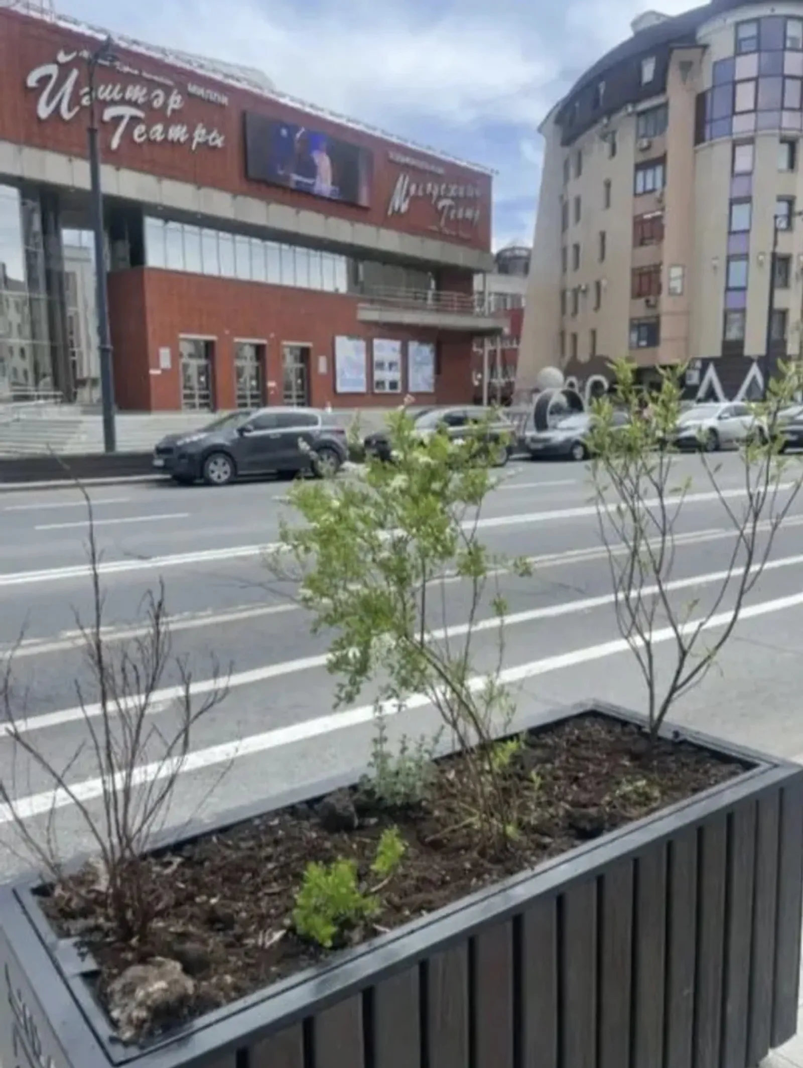 Улицы Уфы украсят кадками с декоративными растениями