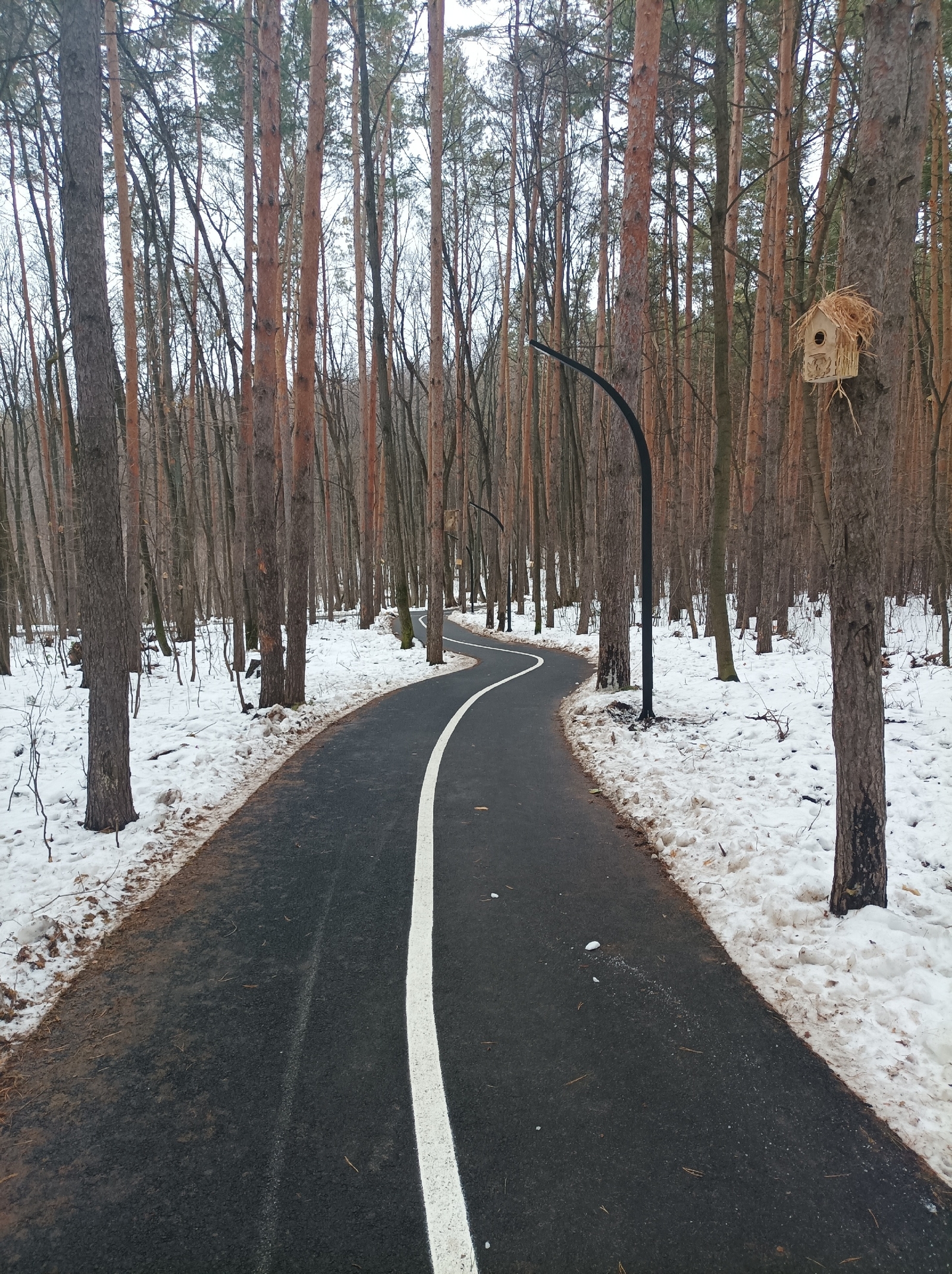 Морозы в Башкирии усилятся к середине недели