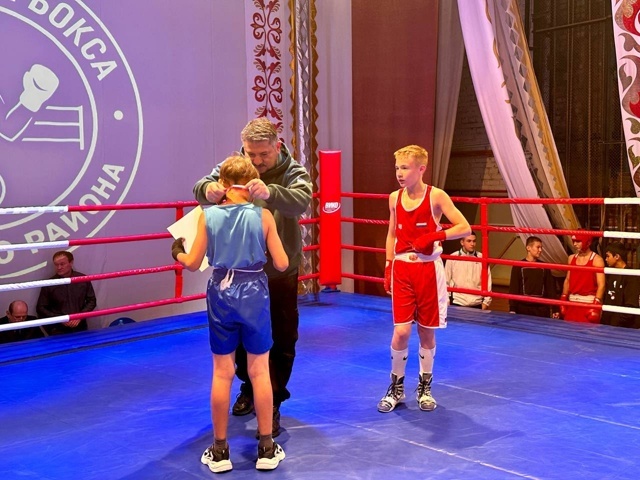 В Уфимском районе завершились республиканские соревнования по боксу