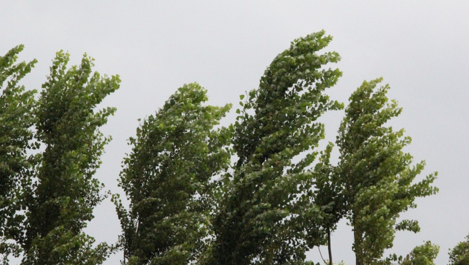 Уфа готовится к непогоде: сильный ветер и грозы ожидаются в ближайшие сутки