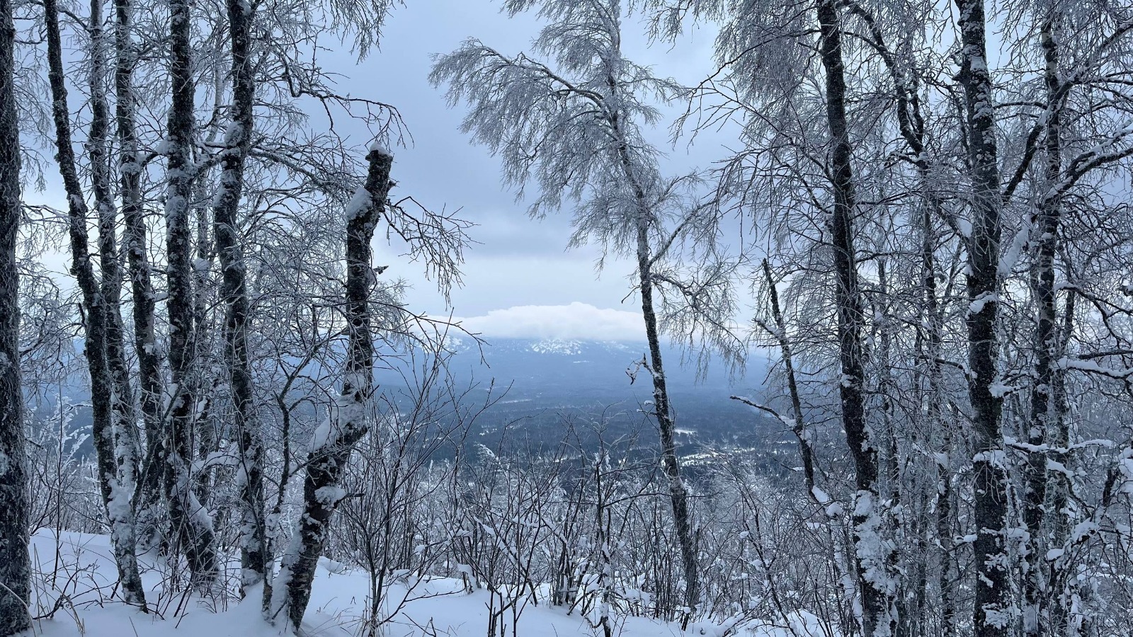 Башгидромет: в ближайшие дни сохранится снежная погода